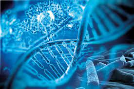 Benefits of Molecular diagnostics
