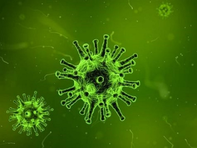 Rapid antigen itu apa:virus characteristics